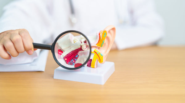 Understanding Eustachian tube dysfunction (ETD): causes, symptoms & relief