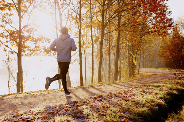 Person jogging on a forest trail during autumn with fallen leaves and sunlight streaming through the trees.