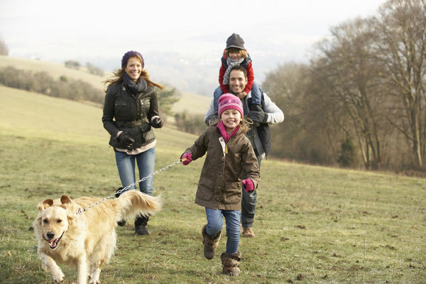 Family enjoying a walk in a grassy field with a golden retriever on a leash on a clear autumn day.