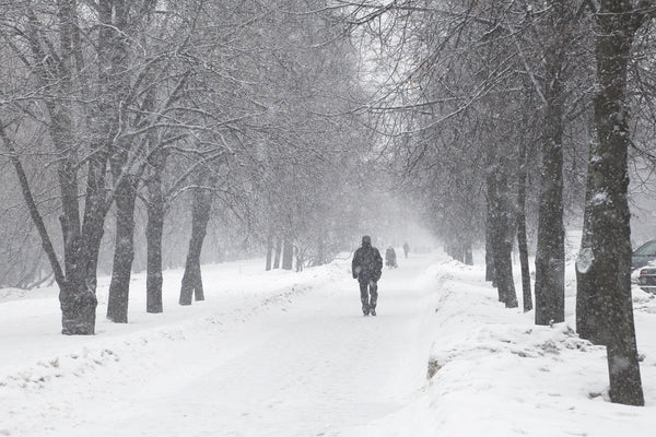 Person walking on a snow-covered pathway lined with bare trees during heavy snowfall in a wintery park setting.