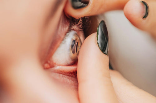 Black and white photo of Leightons Opticians storefront.