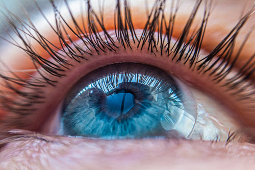 Close-up of a blue eye showing detailed iris patterns and long eyelashes in sharp focus.