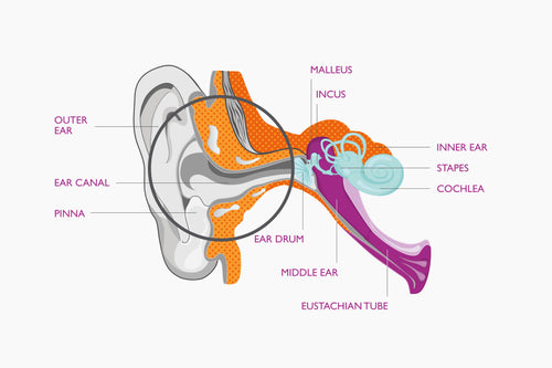 A historical collage featuring Leightons Opticians storefronts and memorabilia.