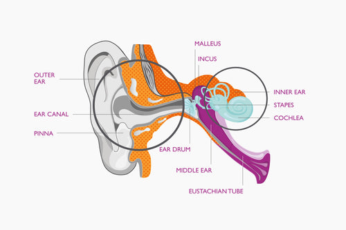 A young woman with long hair smiles at the camera.