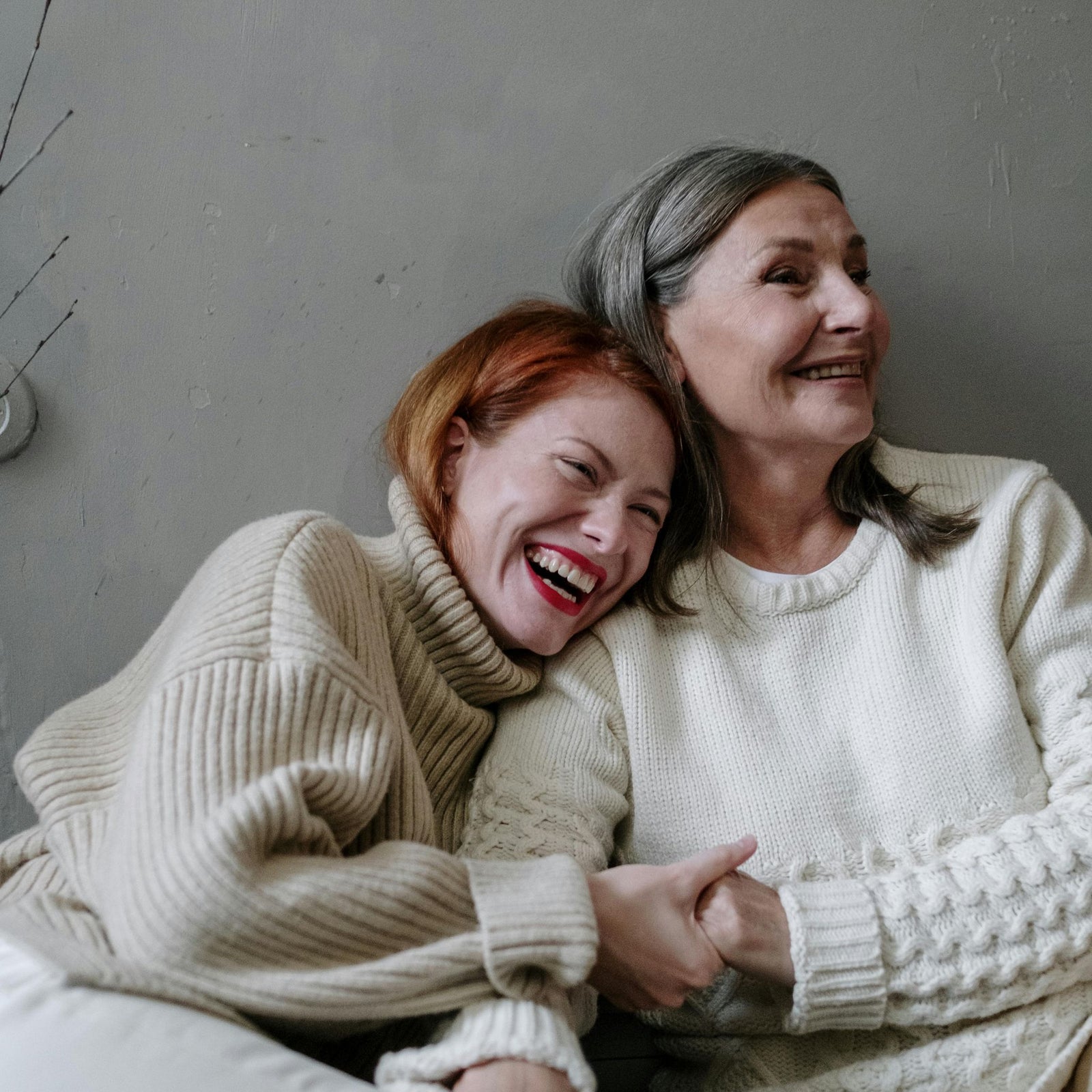 Logo of The Learning Suite featuring modern typography.