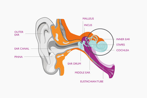 A collage of vintage images showcasing Leightons Opticians history.