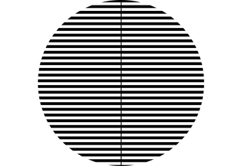 Book Your Visual Stress Test – Leightons
